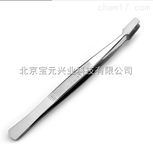 昆虫展翅镊、阔头镊