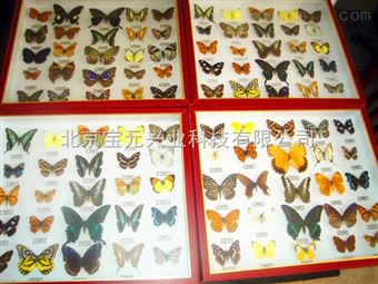 By盛针台、6孔针台