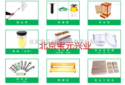 昆虫标本采集盒