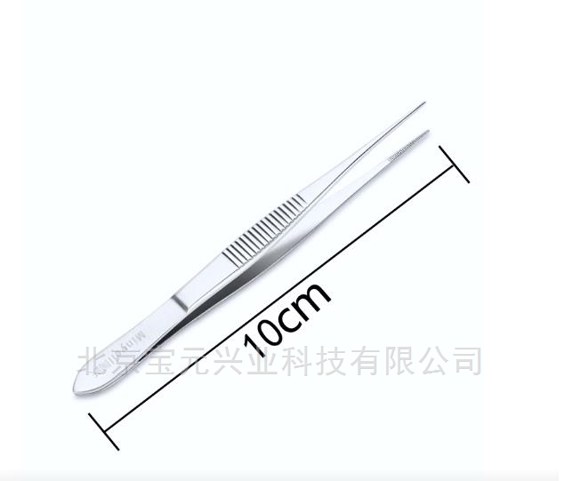 镊子标本分拣镊子不锈钢镊子