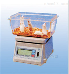 By-dzc小动物电子称、动物秤