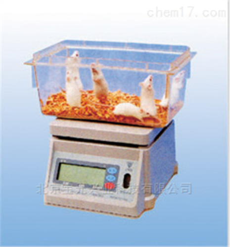 大鼠豚鼠电子秤