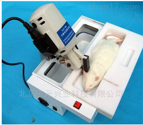 电动大鼠断头器